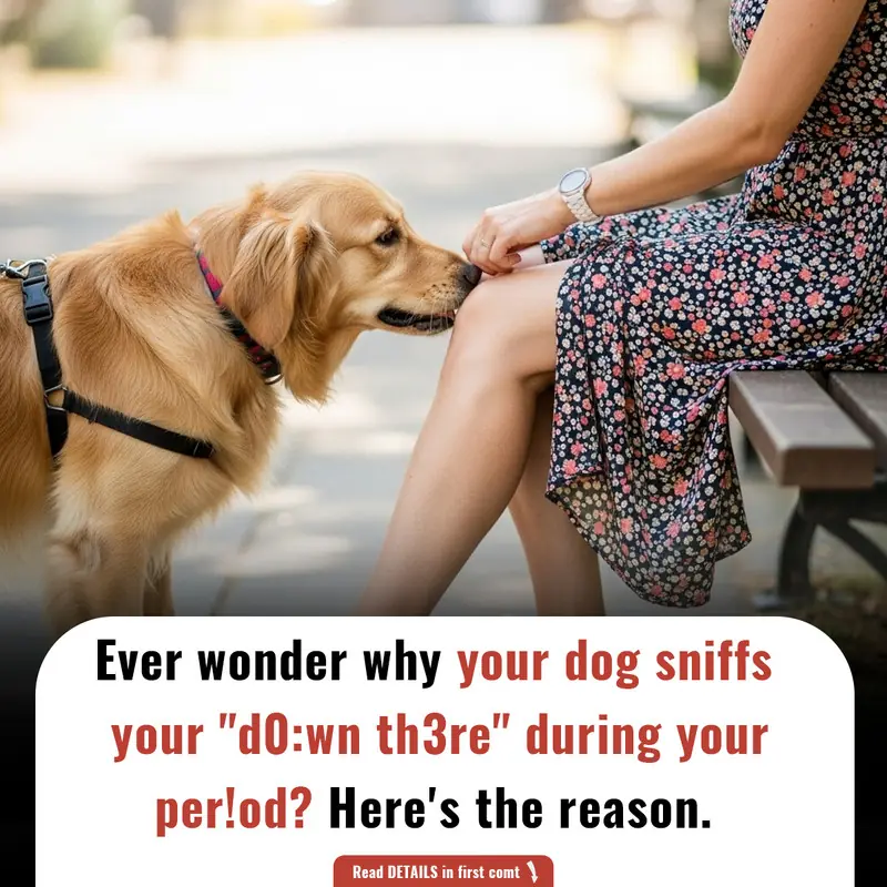 Ever wonder why your dog sniffs your "d0:wn th3re" during your per!od? Here's the reason.