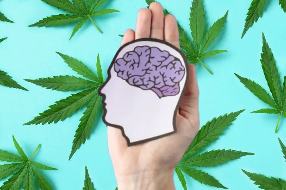 This Alternative Treatment Might Reverse Brain Aging and Improve Mental Sharpness—Without the High