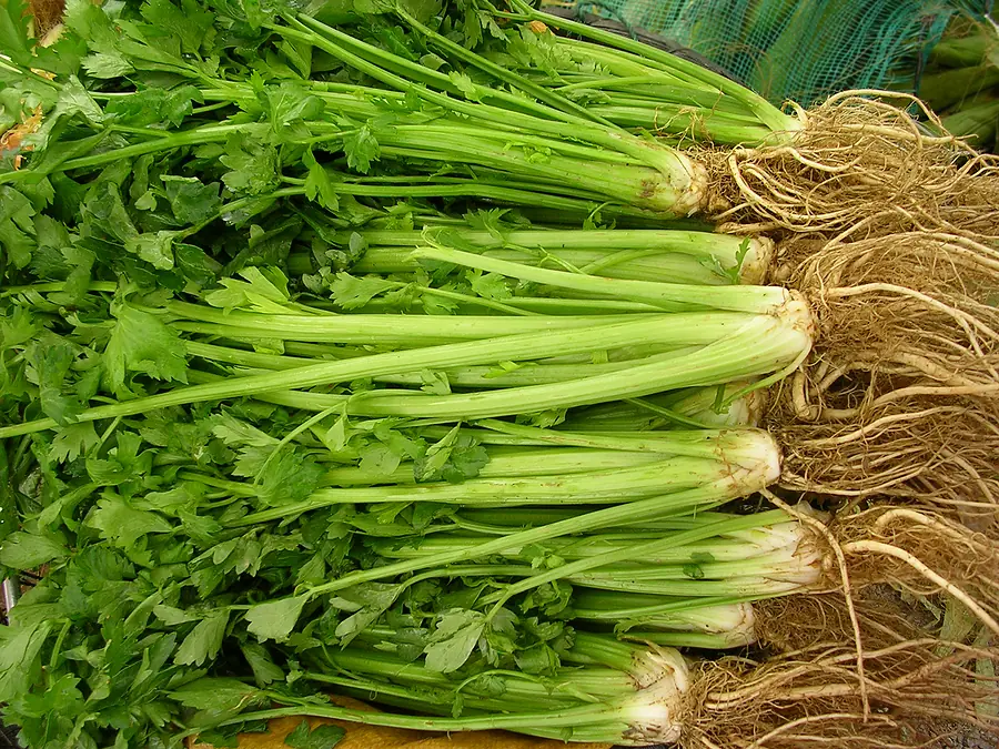 Avoid Throwing Away the Roots When Preparing These 4 Vegetables: Are You Unknowingly Discarding the 'Miracle' That Helps Your Body Stay Healthy from the Roots