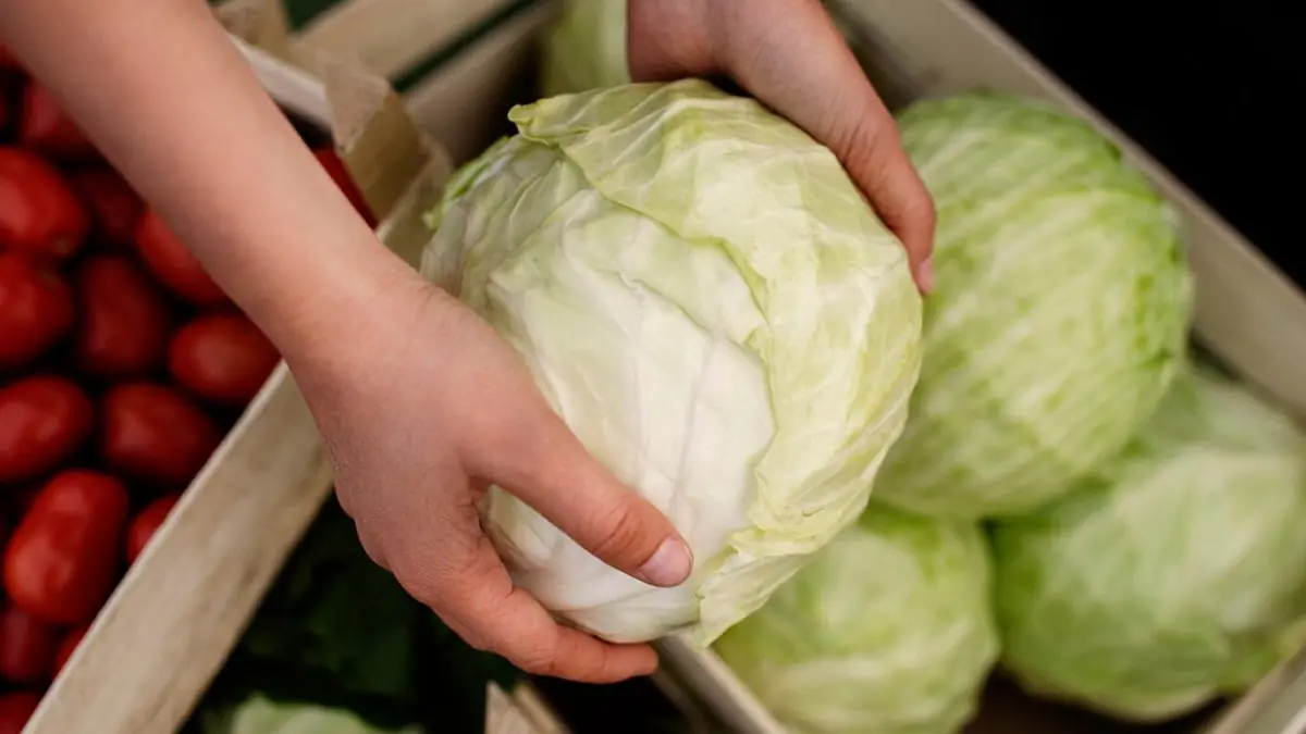 Cabbage: Health Benefits, Side Effects, and Who Should Avoid It