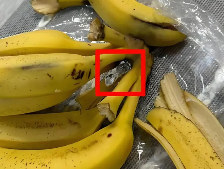 If you see these 4 types of bananas at the market,  simply walk away without a second thought!