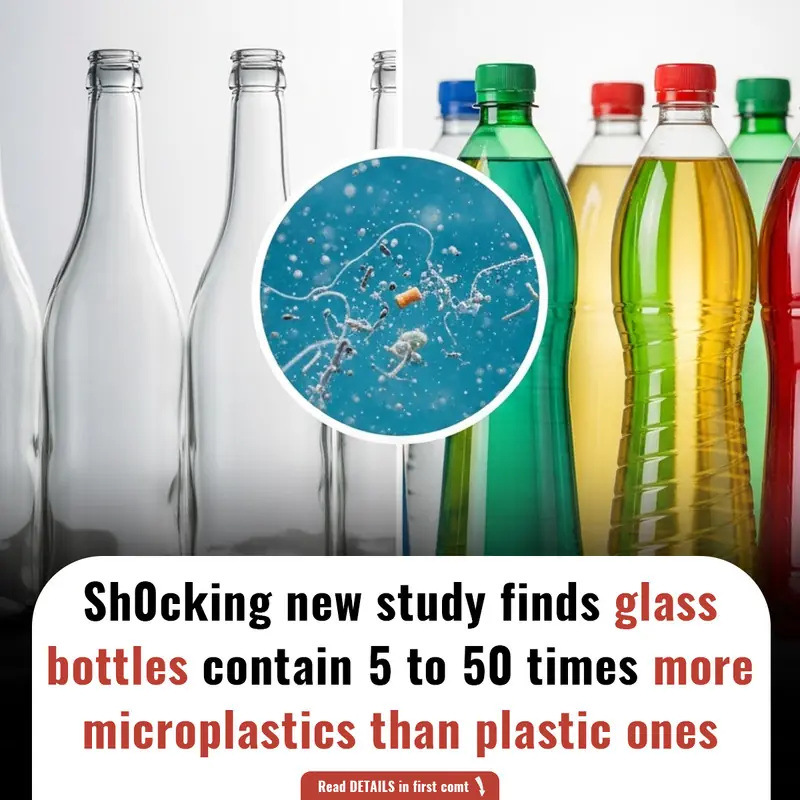 Sh0cking new study finds glass bottles contain 5 to 50 times more microplastics than plastic ones.