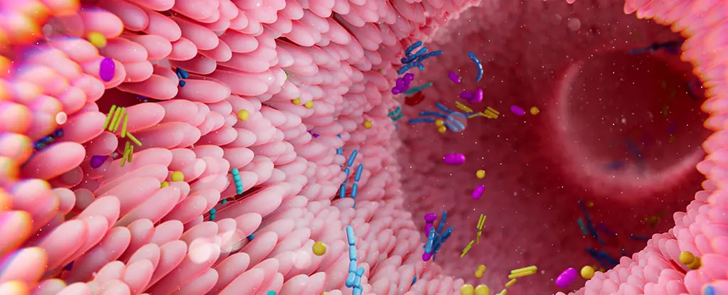 Link Between Gut Bacteria and Multiple Sclerosis (MS): A Groundbreaking Discovery