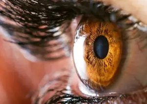 The Remarkable Cornea: How It Works, Oxygen Absorption, and Tips for Maintaining Its Health
