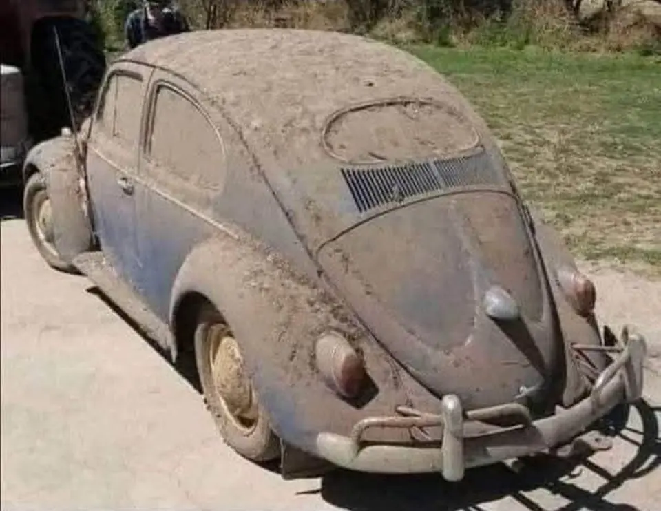 A Father’s Lesson in Value: The Volkswagen Beetle Story That Inspires