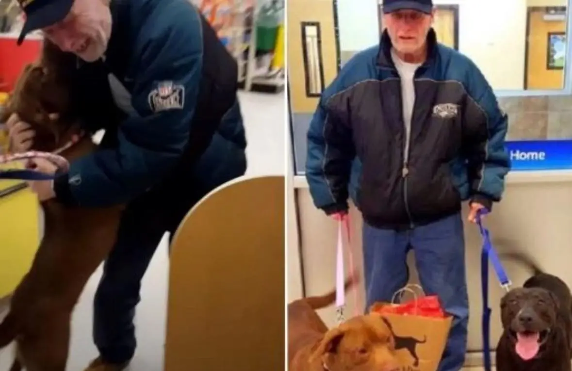 A Veteran's Priceless Reunion: How Community Kindness Brought a Hero and His Beloved Dogs Home