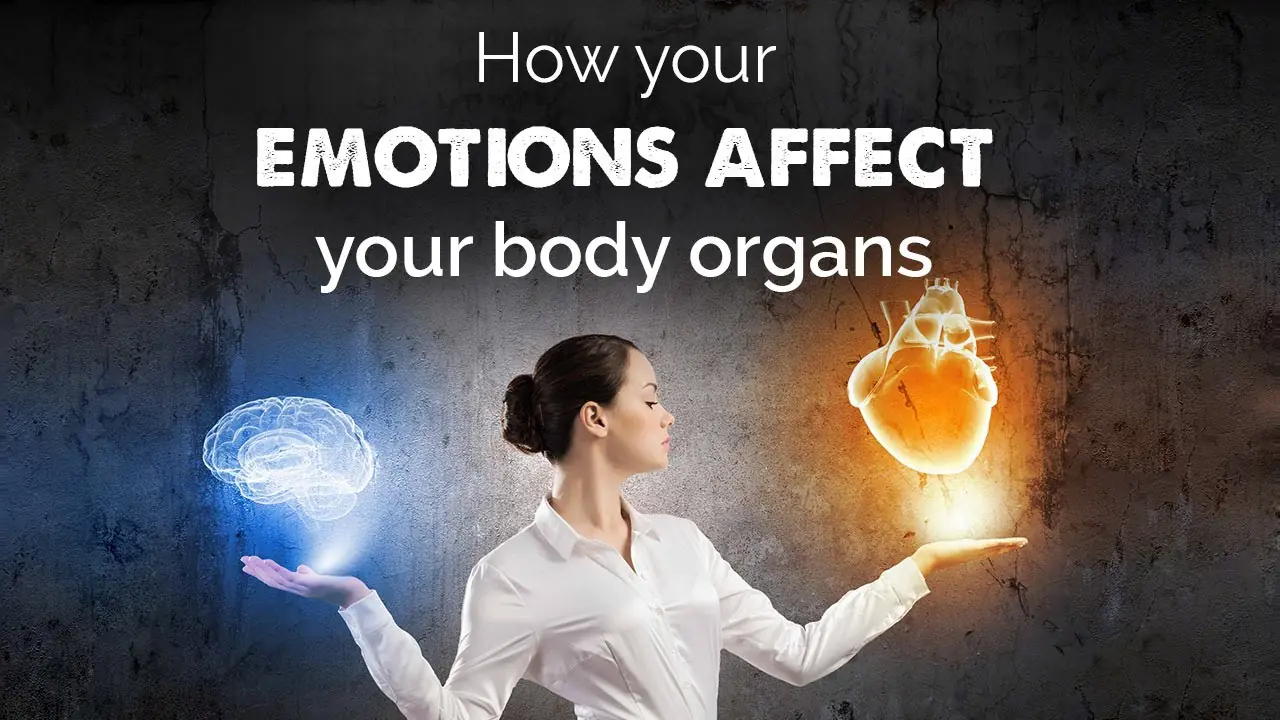 How Emotions H@rm Your Body: Impact on Organs Like Liver, Lungs, and Heart