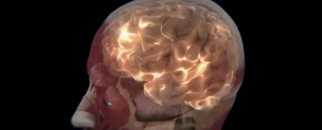 Groundbreaking Discovery: Brain Emits Light That Changes with Thoughts, Paving the Way for New Health Monitoring Techniques
