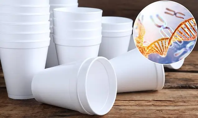 The drink that could lengthen your lifespan - and is linked to a lower risk of dementia, diabetes and heart disease
