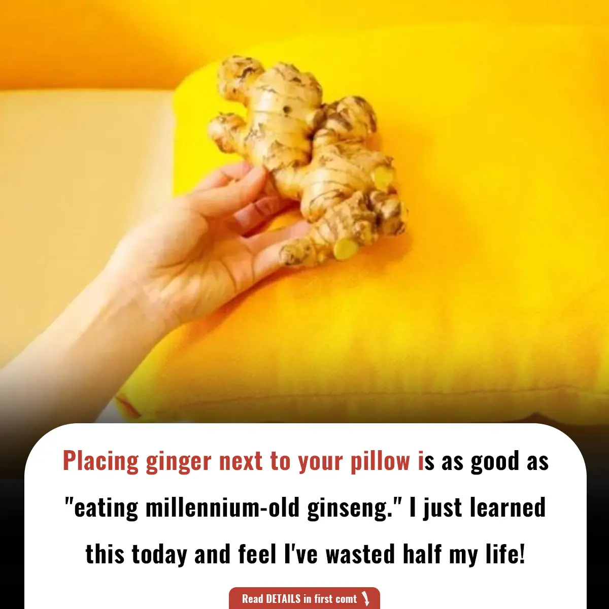 Placing ginger next to your pillow is as good as "eating millennium-old ginseng." I just learned this today and feel I've wasted half my life!