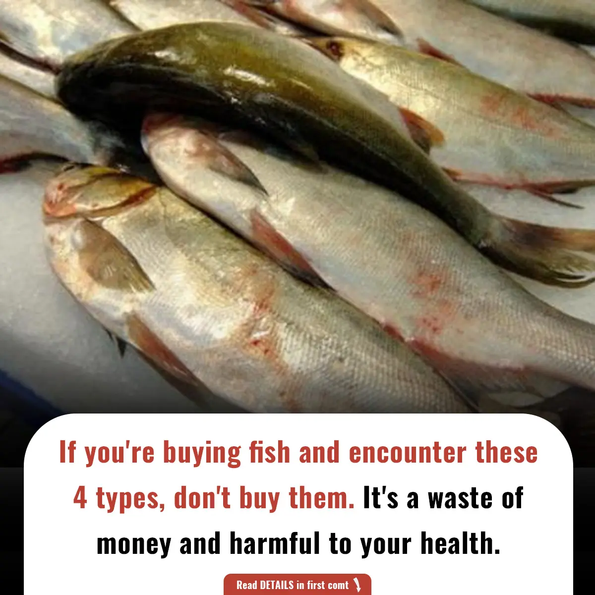 If you're buying fish and encounter these 4 types, don't buy them. It's a waste of money and harmful to your health.
