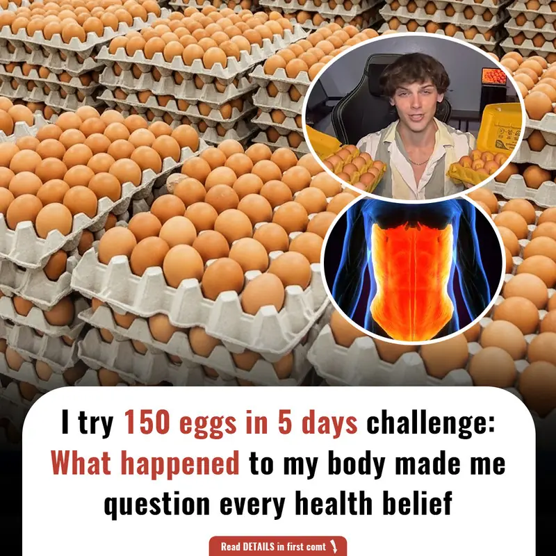 150 eggs in 5 days: What happened to my body made me question every health belief