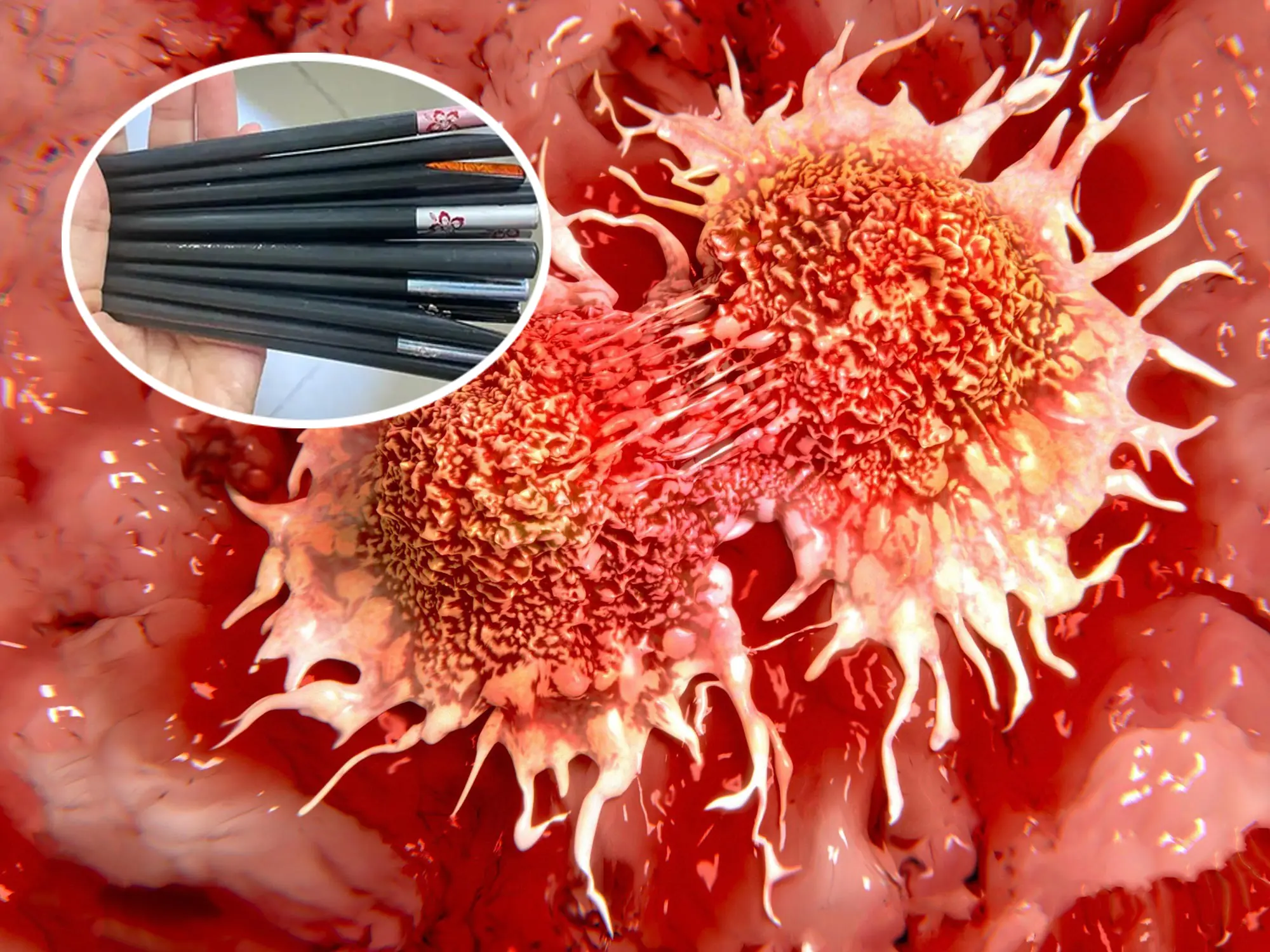 5 cheap household items that can bring cancer to the whole family