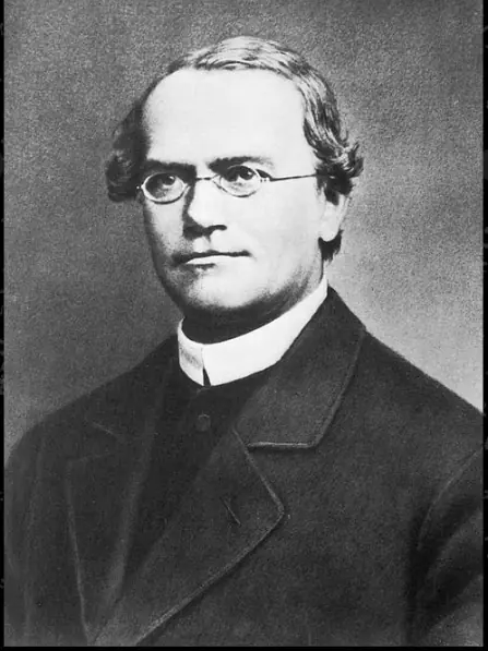 The Silent Genius Who Shaped Modern Genetics: The Story of Gregor Mendel