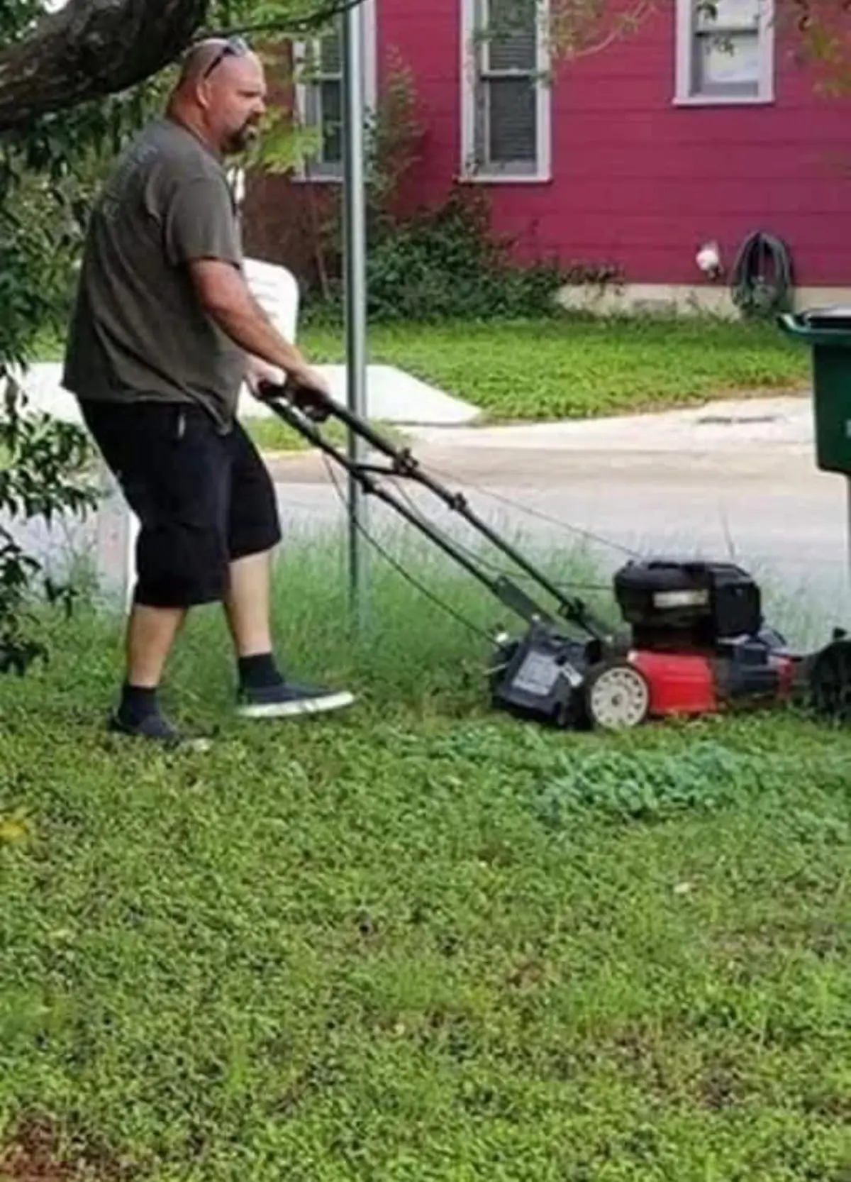 The Enduring Garden: How a Divorced Father's Act of Kindness Redefines Family Love