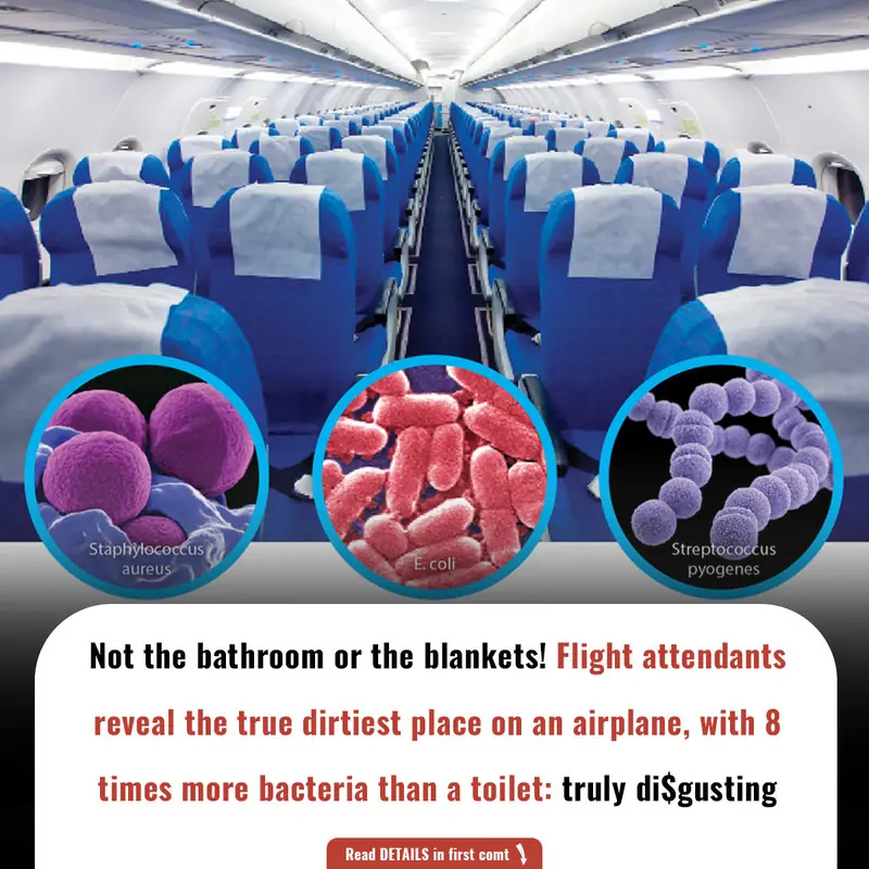 Not the bathroom or the blankets! Flight attendants reveal the true dirtiest place on an airplane, with 8 times more bacteria than a toilet: truly di$gusting