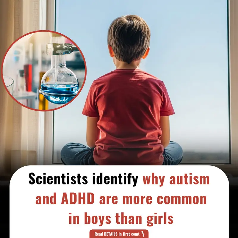 Scientists identify why autism and ADHD are more common in boys than girls