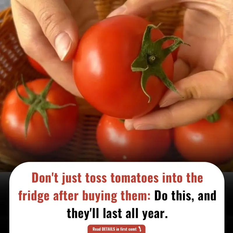 Don't just toss tomatoes into the fridge after buying them: Do this, and they'll last all year.