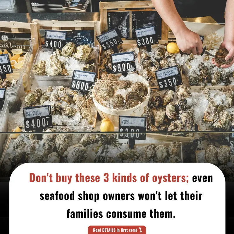 Don't buy these 3 kinds of oysters; even seafood shop owners won't let their families consume them.
